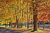 Autumn Scene_29557